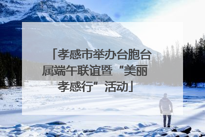 孝感市举办台胞台属端午联谊暨“美丽孝感行”活动