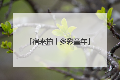 宿来拍丨多彩童年