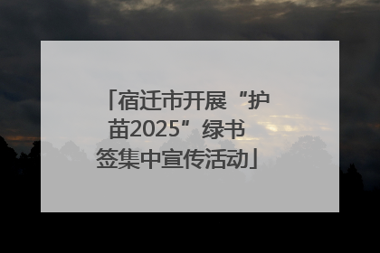 宿迁市开展“护苗2025”绿书签集中宣传活动