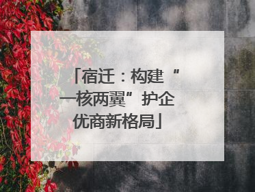 宿迁：构建“一核两翼”护企优商新格局