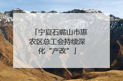宁夏石嘴山市惠农区总工会持续深化“产改”