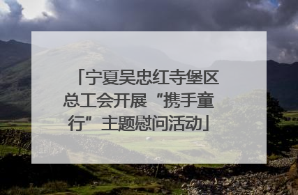 宁夏吴忠红寺堡区总工会开展“携手童行”主题慰问活动