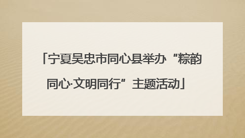 宁夏吴忠市同心县举办“粽韵同心·文明同行”主题活动
