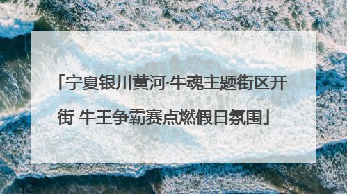 宁夏银川黄河·牛魂主题街区开街 牛王争霸赛点燃假日氛围