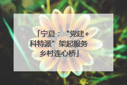 宁夏：“党建+科特派”架起服务乡村连心桥