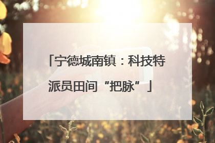 宁德城南镇：科技特派员田间“把脉”