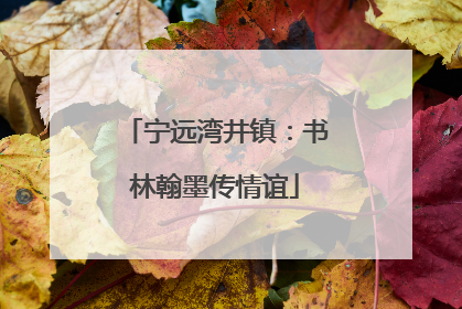 宁远湾井镇：书林翰墨传情谊