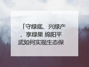 守绿底、兴绿产、享绿果 绵阳平武如何实现生态保护与经济发展双赢？｜新闻发布最前线·深一度