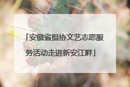安徽省摄协文艺志愿服务活动走进新安江畔
