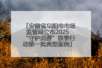 安徽省阜阳市市场监管局公布2025“守护消费”铁拳行动第一批典型案例