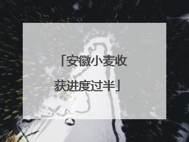 安徽小麦收获进度过半