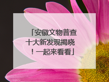 安徽文物普查十大新发现揭晓！一起来看看