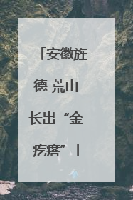 安徽旌德 荒山长出“金疙瘩”