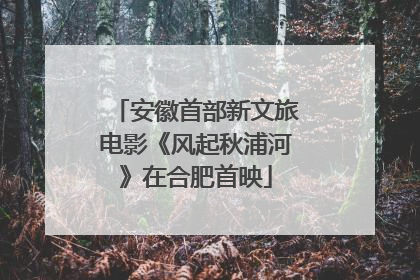 安徽首部新文旅电影《风起秋浦河》在合肥首映
