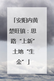 安阳内黄楚旺镇：思路“上新” 土地“生金”