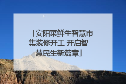 安阳菜鲜生智慧市集装修开工 开启智慧民生新篇章