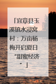 宜章县玉溪镇水浸窝村：万亩杨梅开启夏日“甜蜜经济”