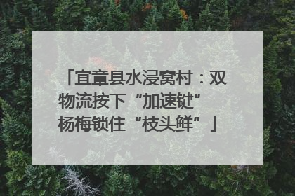 宜章县水浸窝村：双物流按下“加速键” 杨梅锁住“枝头鲜”