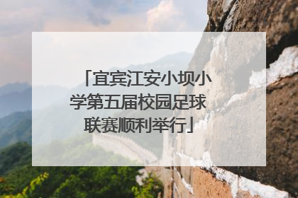 宜宾江安小坝小学第五届校园足球联赛顺利举行