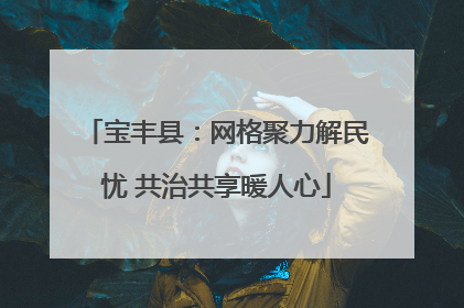 宝丰县：网格聚力解民忧 共治共享暖人心