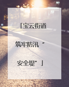 宝云街道筑牢防汛“安全堤”