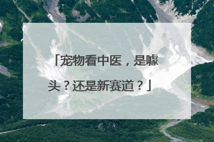 宠物看中医，是噱头？还是新赛道？