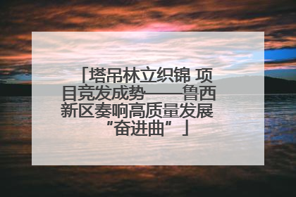 塔吊林立织锦 项目竞发成势——鲁西新区奏响高质量发展“奋进曲”