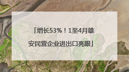 增长53%！1至4月雄安民营企业进出口亮眼