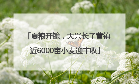 夏粮开镰，大兴长子营镇近6000亩小麦迎丰收