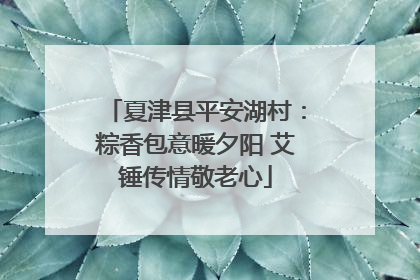 夏津县平安湖村：粽香包意暖夕阳 艾锤传情敬老心