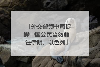 外交部领事司提醒中国公民暂勿前往伊朗、以色列