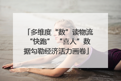 多维度“数”读物流“快跑” “喜人”数据勾勒经济活力画卷