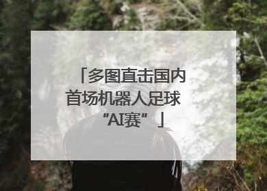 多图直击国内首场机器人足球“AI赛”