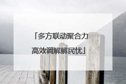 多方联动聚合力 高效调解解民忧