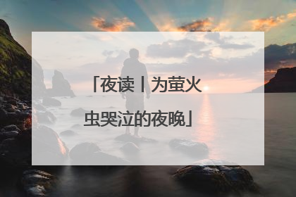 夜读丨为萤火虫哭泣的夜晚