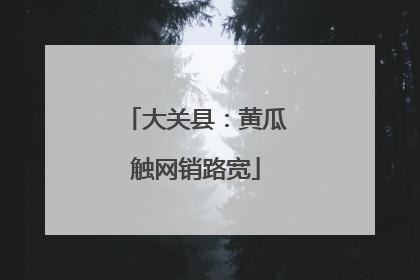 大关县：黄瓜触网销路宽