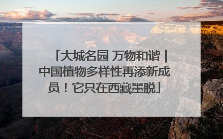 大城名园 万物和谐｜中国植物多样性再添新成员！它只在西藏墨脱