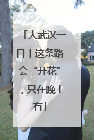 大武汉一日丨这条路会“开花”，只在晚上有