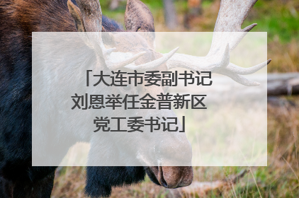 大连市委副书记刘恩举任金普新区党工委书记