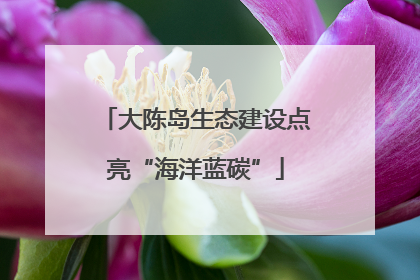 大陈岛生态建设点亮“海洋蓝碳”