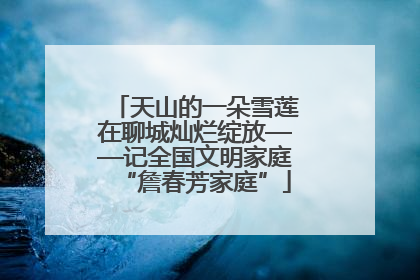 天山的一朵雪莲在聊城灿烂绽放——记全国文明家庭“詹春芳家庭”