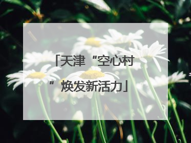 天津“空心村”焕发新活力
