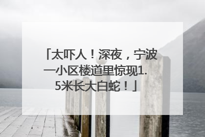 太吓人！深夜，宁波一小区楼道里惊现1.5米长大白蛇！