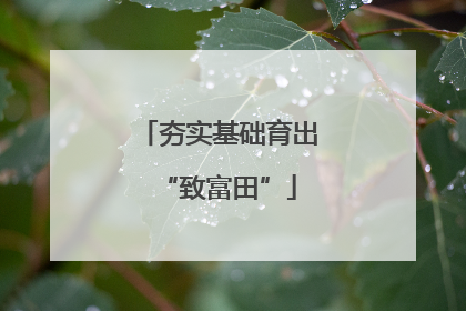 夯实基础育出“致富田”