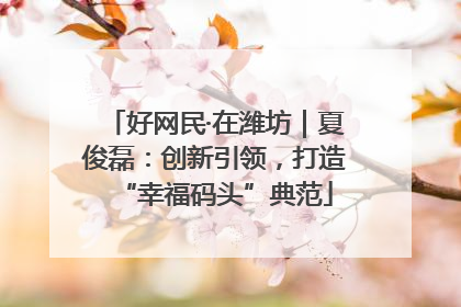 好网民·在潍坊｜夏俊磊：创新引领，打造“幸福码头”典范