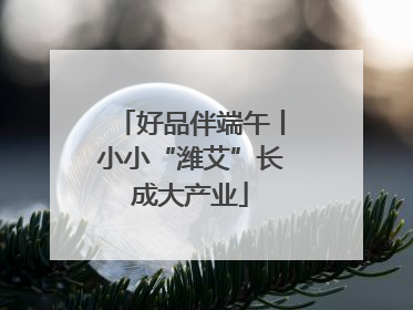 好品伴端午丨小小“潍艾”长成大产业