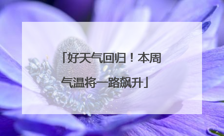 好天气回归！本周气温将一路飙升