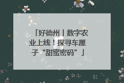 好德州丨数字农业上线！探寻车厘子“甜蜜密码”