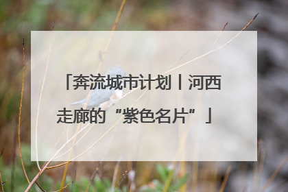 奔流城市计划丨河西走廊的“紫色名片”