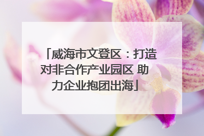 威海市文登区：打造对非合作产业园区 助力企业抱团出海